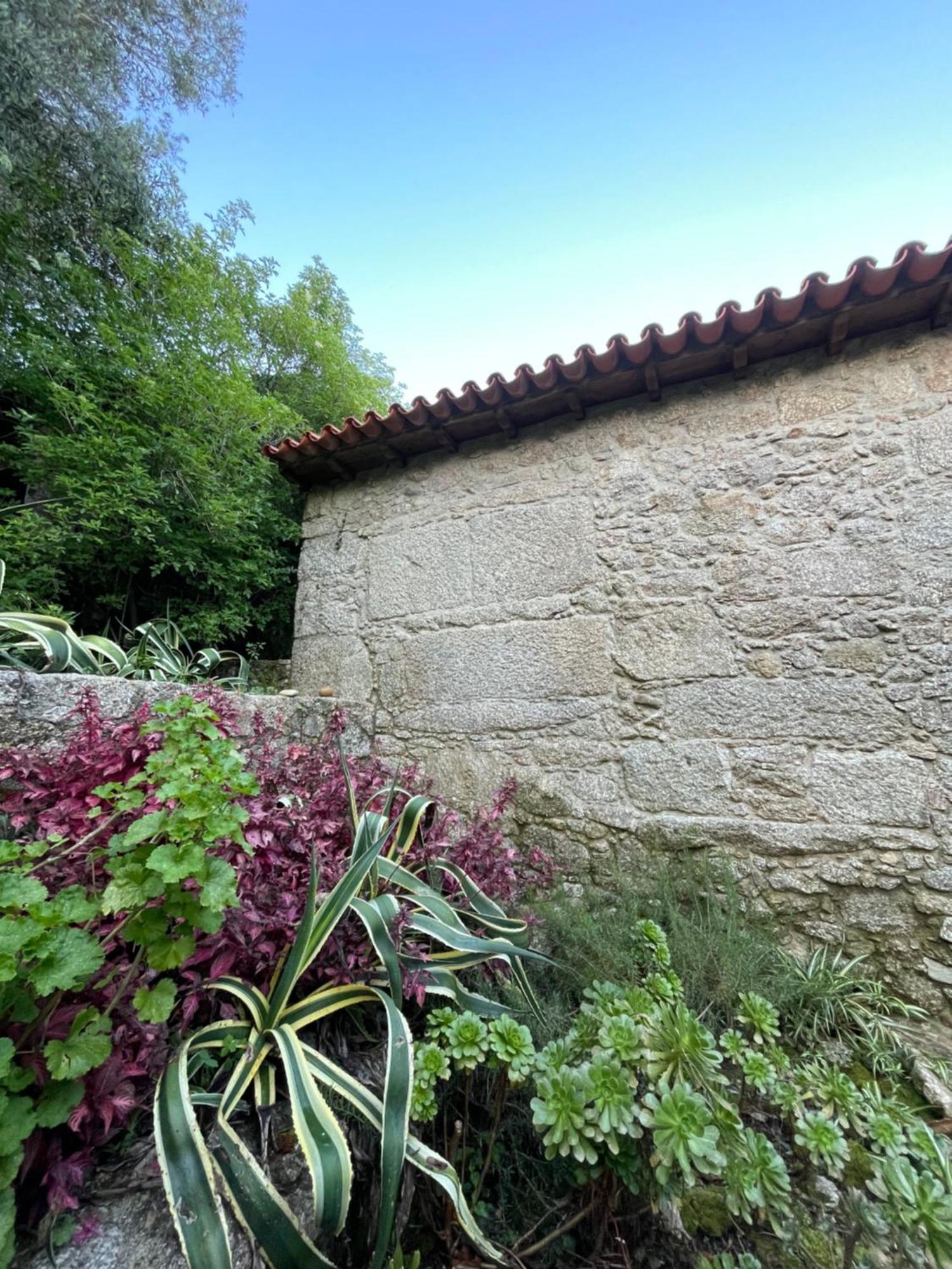 לינה וארוחת בוקר Vitorino dos Piães Altavista מראה חיצוני תמונה